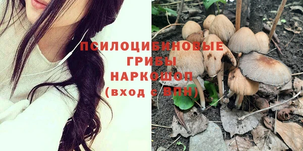 каннабис Михайловка