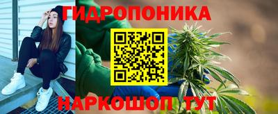 хмурый Аргун