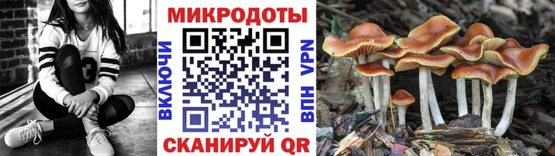 Галлюциногенные грибы Psilocybine cubensis цены наркотик нарко площадка официальный сайт Топки