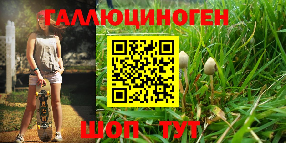 Галлюциногенные грибы мухоморы  Топки 