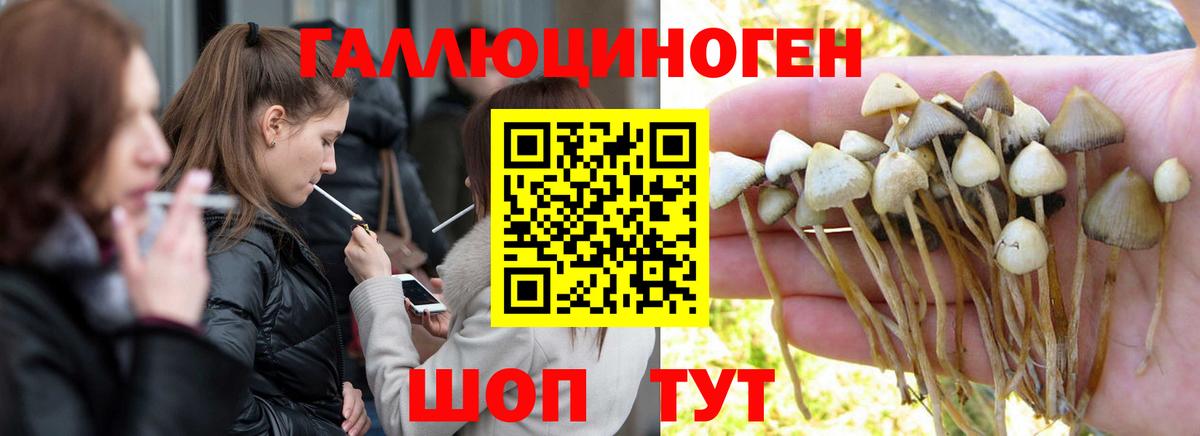 Галлюциногенные грибы Cubensis Топки